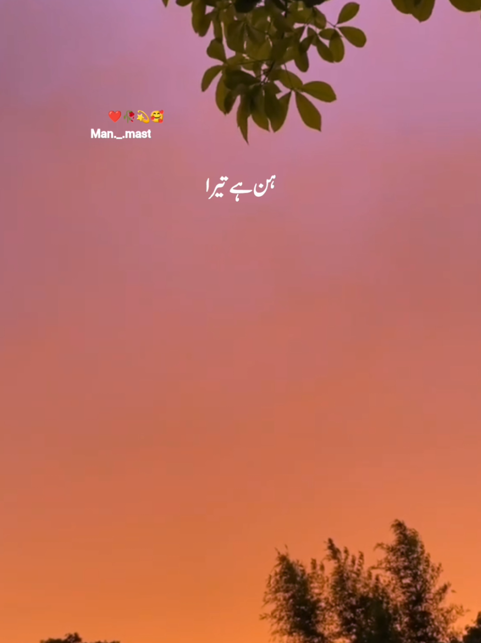 #💞❣️ #man_mast #fyp #fyp #songstatus to dil to hi jan meri 