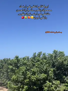 #fyppppppppppppppppppppppp #الشعب_الصيني_ماله_حل😂😂 #مزارع_الساحل #تفاعل #جوافه 