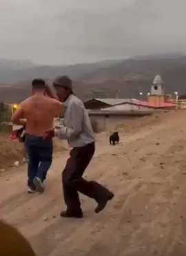Cosas q pasan en el  albazo ##banda  de pueblo #Ecuador #sigueme 