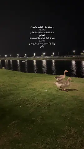 #تصويري  #ابو_صبا 