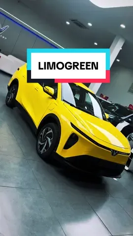 🇻🇳LIMO GREEN 7 CHỖ – 91TR NHẬN XE 6,9%/2 NĂM – TRẢ GÓP NHẸ NHÀNG BAO NỢ XẤU – DỄ DÀNG DUYỆT VAY 7 CHỖ RỘNG RÃI VẬN HÀNH 0 ĐỒNG  LỢI NHUẬN TỐI ĐA #limogreen #xanhsm #limogreengiaongay 