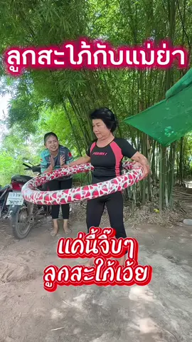 #เเต่นี้จิ๊บๆ#ลูกสะใภ้กับแม่ย่า #ครอบครัวหรรษา #พอได้หัว #คลิปตลก 