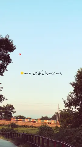 خود کو انمول سمجھو کیونکہ🤗✨ اللہ کوئی چیز بیکار نہیں بناتا🥹🫀 #foryou #foryourpages #poetry #aesthatic #poetrystatus 