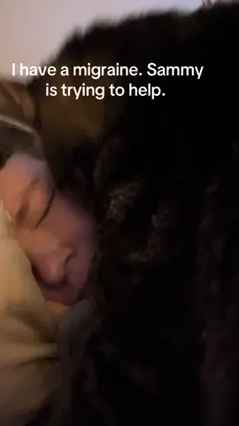 #catsoftiktok #migrainerelief 