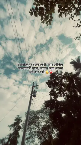 তোমাকে দূর থেকে দেখা, আর গোপনে ভালোবাসা ছাড়া, আমার আর কোনো অধিকার নেই!😅❤️‍🩹#hummm #foryoupage #vairalvideo #sadstory #foryoupage 