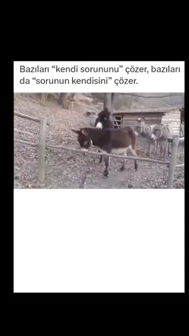 insanın sorununun kimseye ihtiyacı kalmadan cözmesi ne al@