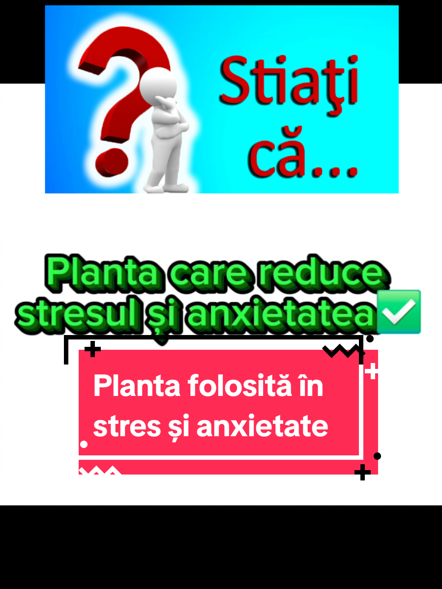 #fyp #roinita #stres #tiktokromania 