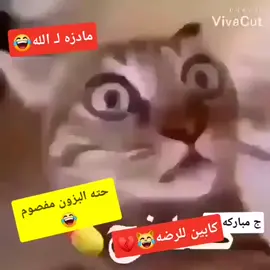 #شعب_الصيني_ماله_حل😂😂 