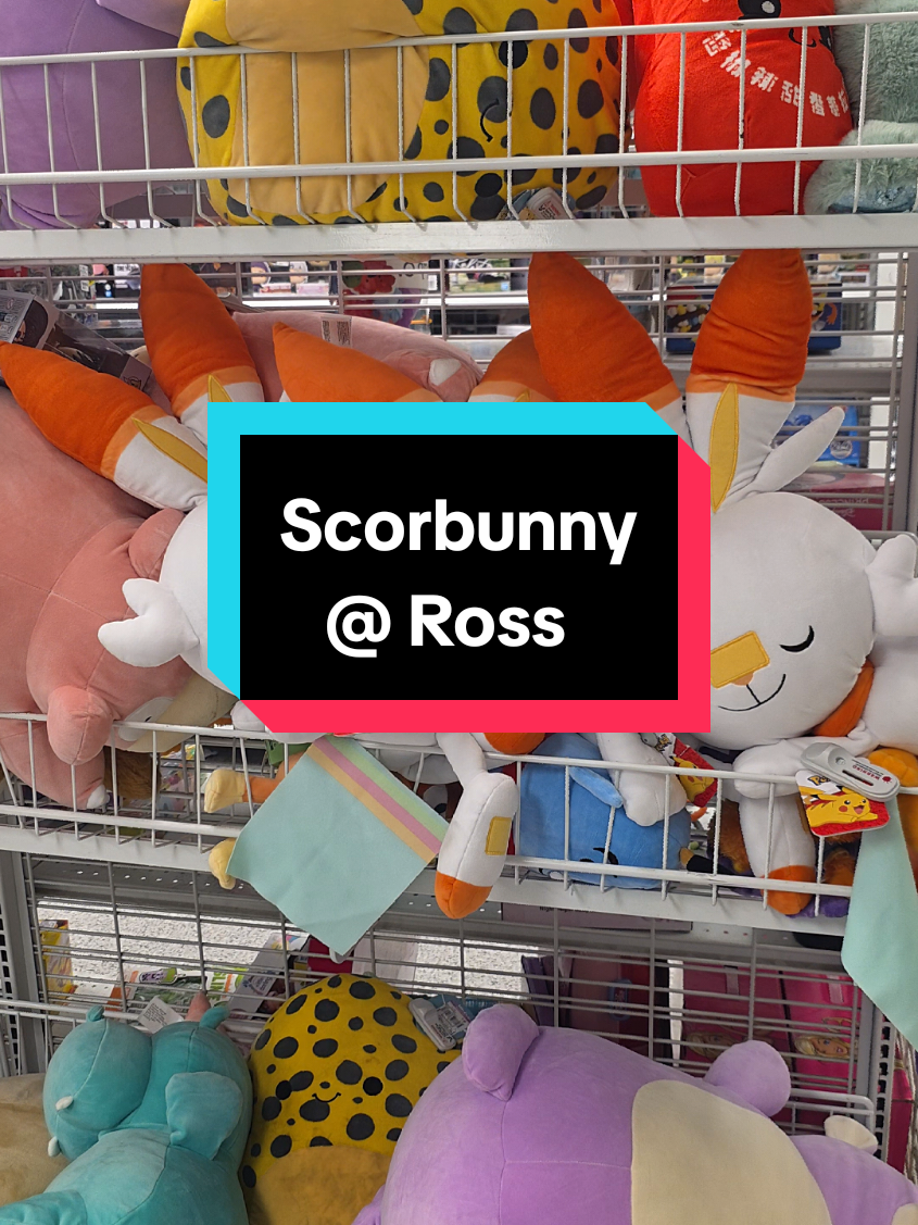 Still wishing Pokemons are real #scorbunny #pokemon #rossfinds #plushies #animetok 