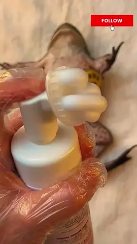 #spa #asmr #fypシ #fyp 
