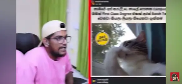 😂😂#thekota #thekotafans #creatorsearchinsights #viraltiktok #memsreviews 