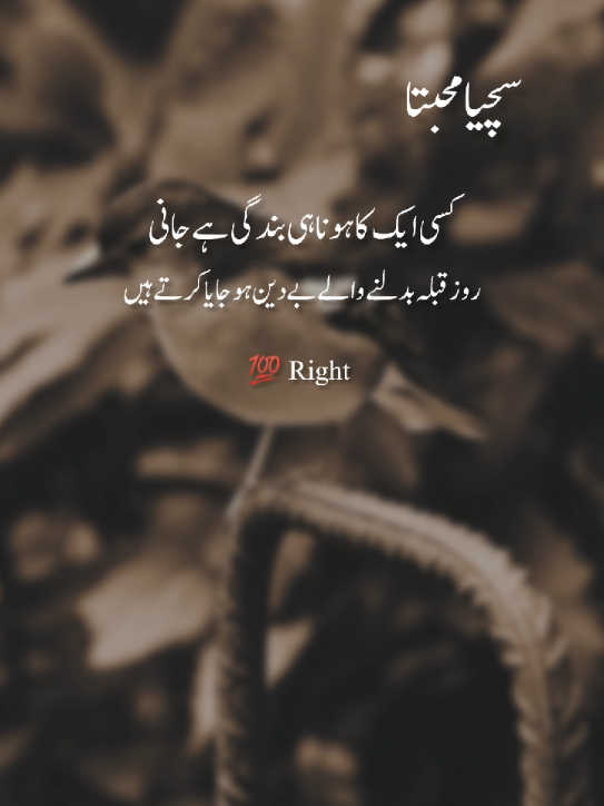 it's true 💔 unfreezmyacount🙏 #fyp #urdupoetry #1millionaudition #fypppviral #foryoupage❤️❤️ 