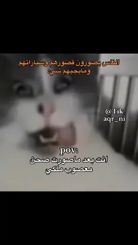 #fyp #foryou #viral #الشعب_الصيني_ماله_حل😂😂 #إكسبلور #لايك 