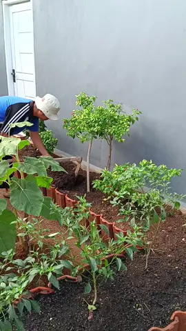 Cara praktis membuat kompos