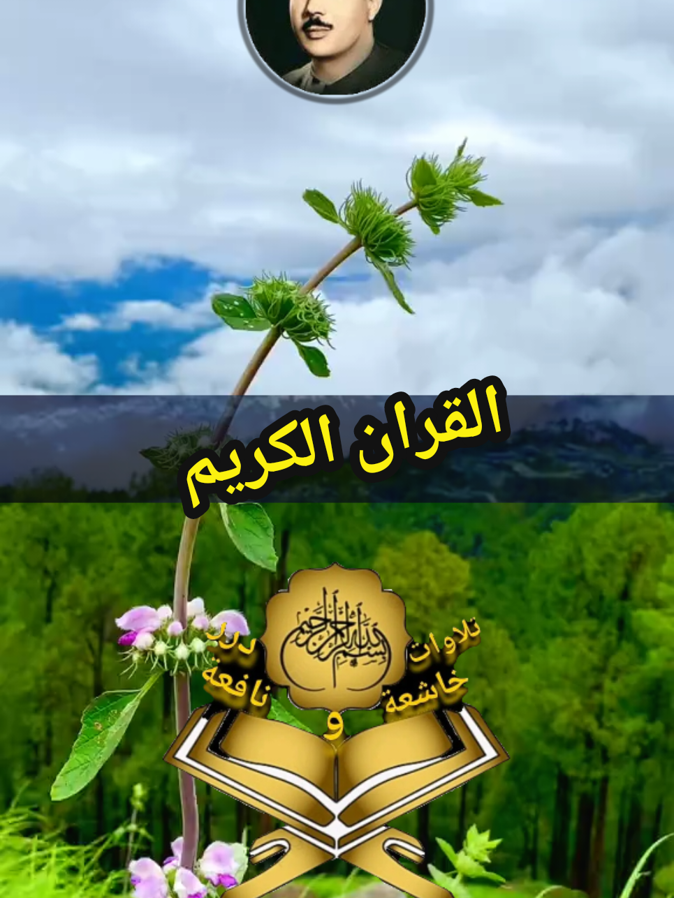 #القران_الكريم #تلاوة_خاشعة #راحة_نفسية #ارح_سمعك_بالقران #ماشاءالله_تبارك_الله 