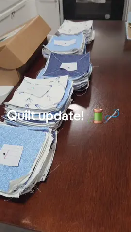 Quilt update!