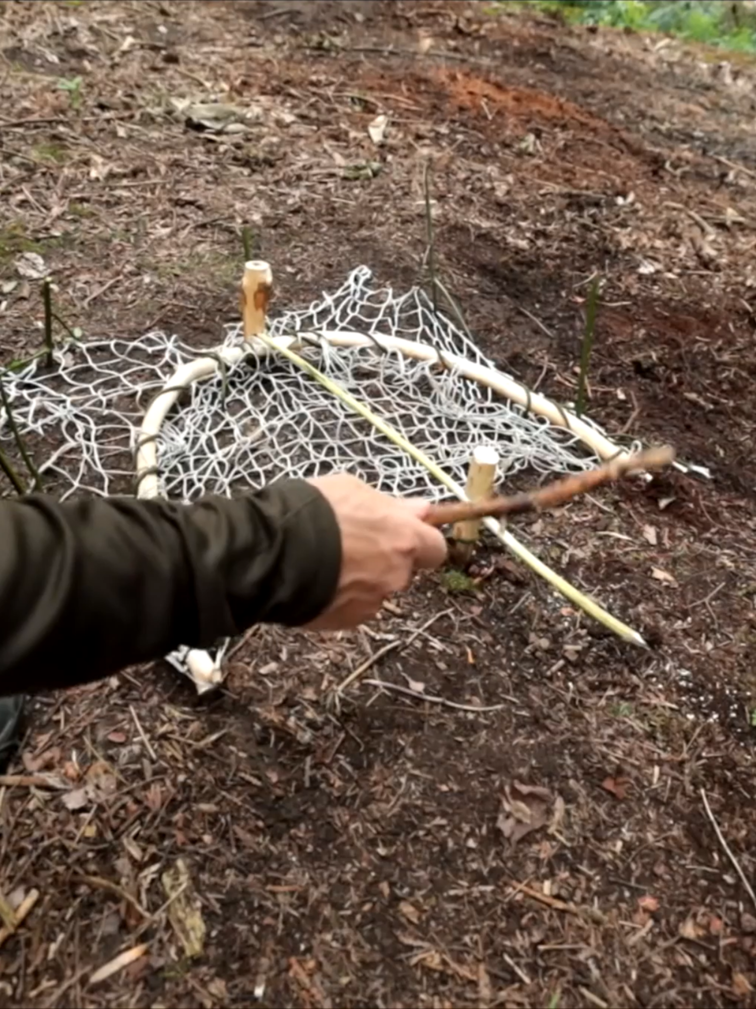 Survival SKill - Primitive Feral Chicken Trap #TheWoodedBeardsman #survival #survival  #bushcraft #primitive #camping #survivalist #outdoors #adventure  #fishing #hunting #catchandcook #catchcook #outdoor #survivalkit  #survivalchallenge #catchncook #catchandcook #catchcleancook  #survivalskills #outdooradventure #wildernessliving #diy #projects  #homesteading #fishingandhunting #survivalgear #offgrid #nature #hacks  #survivalhacks