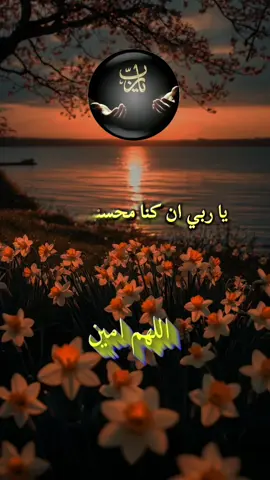 #سبحان_الله_وبحمده_سبحان_الله_العظيم #explore #fyp 