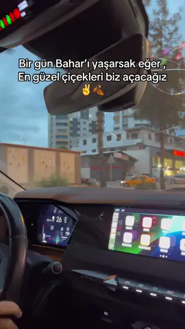 En güzel günler bizi bekliyor #birgğn #çiçek #kelfet #kelf #fyp 