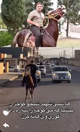 #عشيرابدراحسواغا #حسواغابدراني🦅 