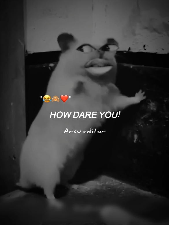 😂🙈❤️ #arsal_poetry #grow #account #foryoupage #viralvideo 