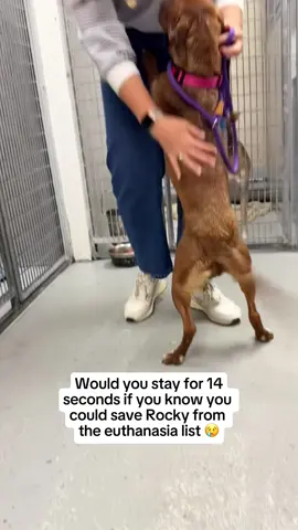 Keep pushing to save rocky 🙏🥲
