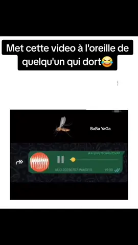 Met cette video à l'oreille de quelqu'un qui dort😂 #moustique #fyp #pourtoi #tiktokafrique🇹🇬🇨🇩🇨🇮🇧🇯🇬🇦🇨🇲🇬🇦 #tiktokafrique🇹🇬🇨🇩🇨🇮🇧🇯🇬🇦🇨🇲🇬🇦 