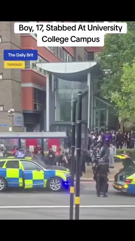Boy, 17, Stabbed At University College Campus #thedailybrit 