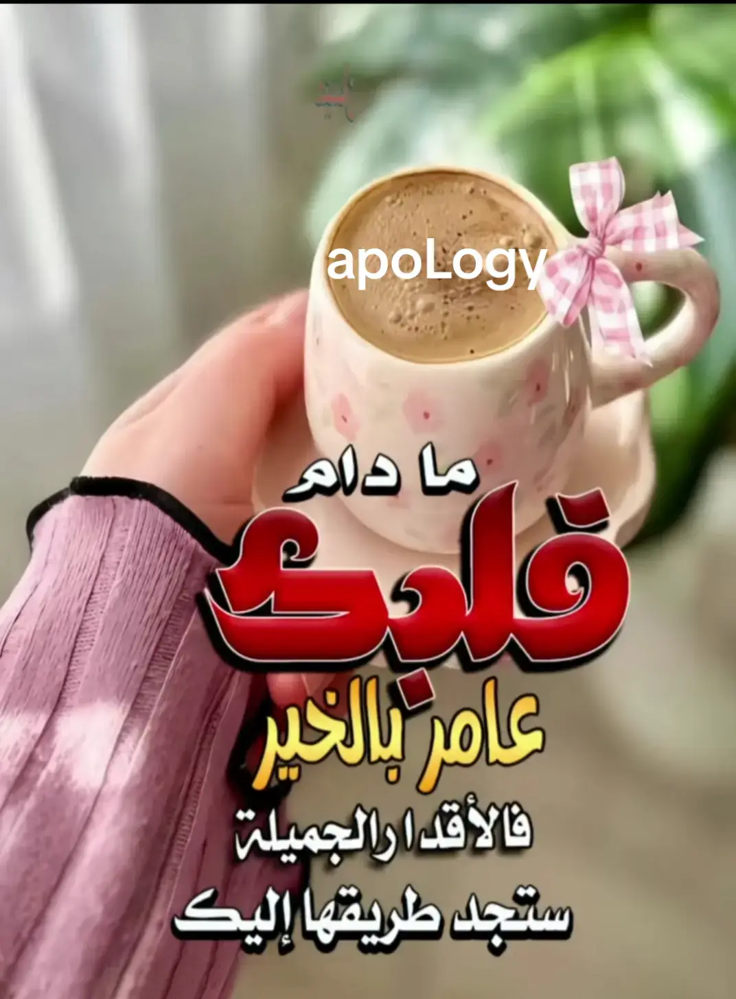 #مشــاهـدات 