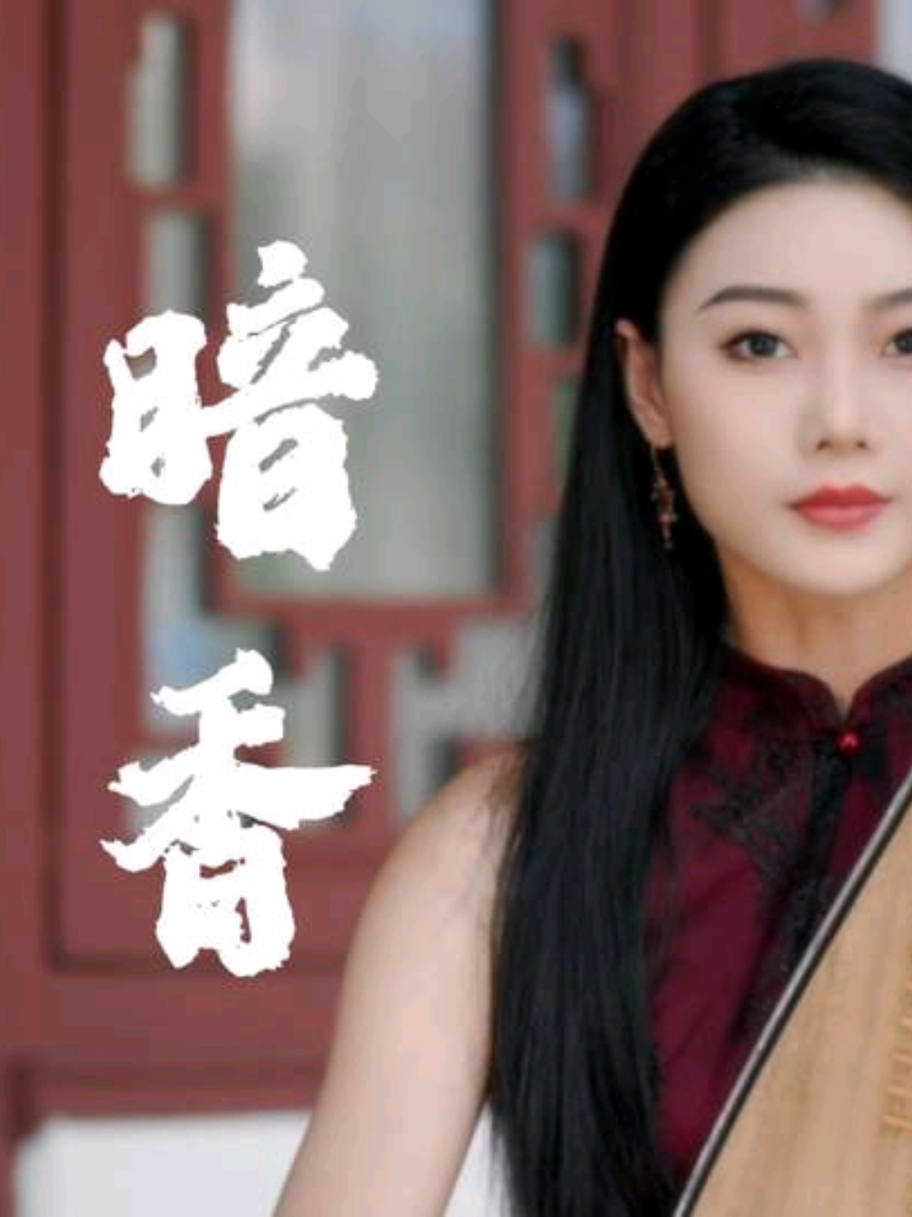 暗香-来处回不去，去处坦然无畏。一个个白昼，一次次跌宕起伏，如此这般，得失看淡，洒扫调羹，品茶闻香，看日出日落，如此而已！#乐器演奏 #国风古韵 #琵琶  #琵琶演奏 #暗香 