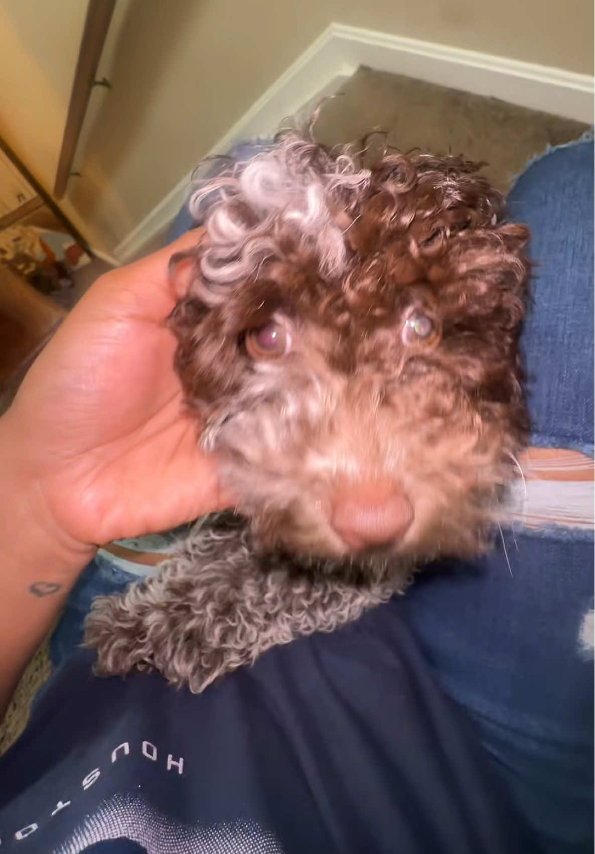 He lookin like estaban ratoyes ramones 😂😂😂😂😂😂 #dailylife #dailyvlog 