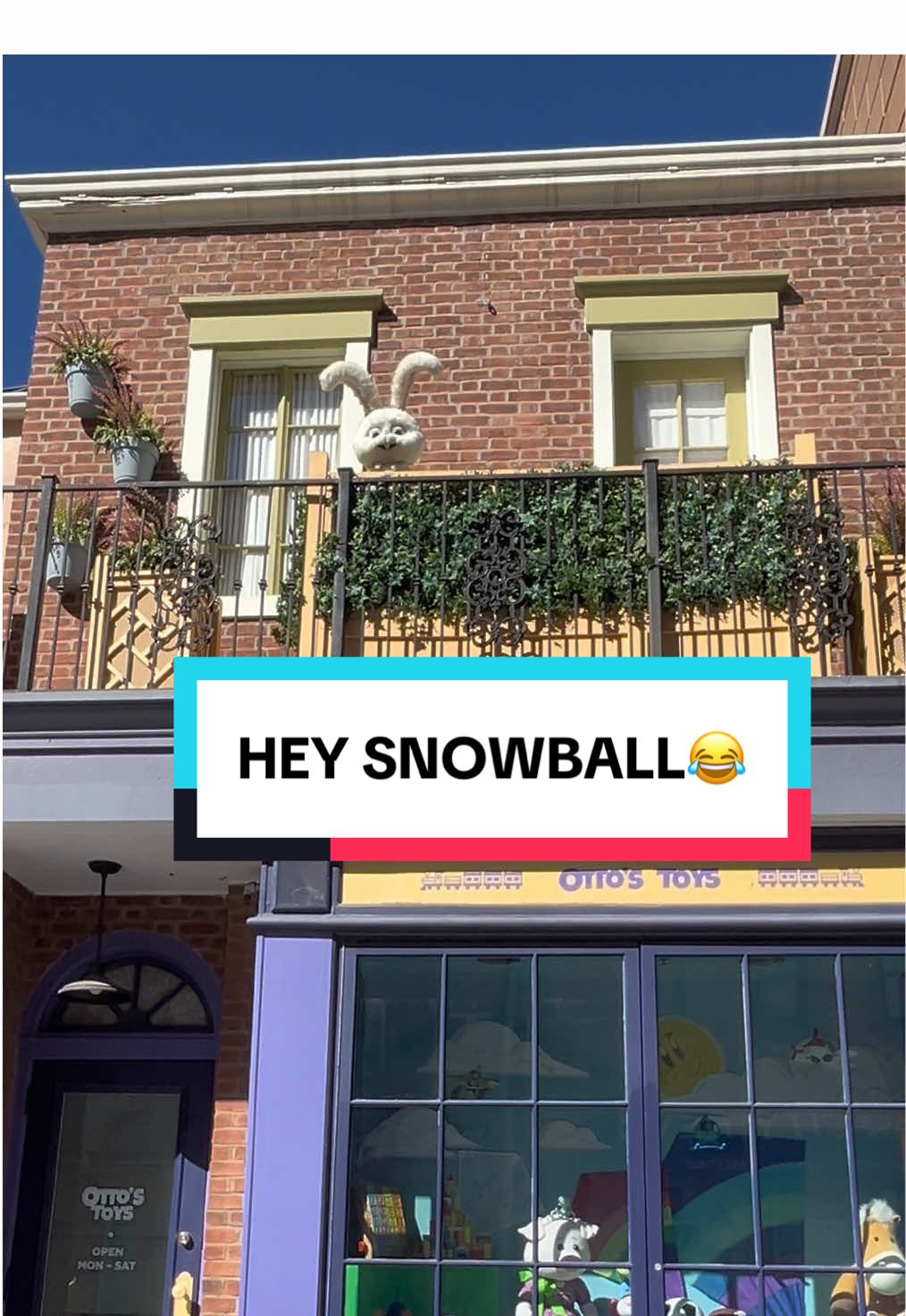 Always love saying Hi to Snowball😂 @Universal Studios Hollywood #universalstudioshollywood #universalstudios #snowball #fyp #foryou 