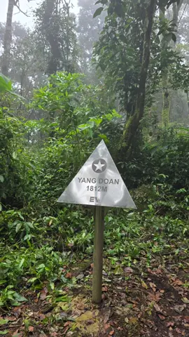 6/9/25_Yang Doan (1812m) 18km 1200+ Dạo ngắm núi Yang Doan và hồ Kala tuyệt đẹp cùng @Trekking Hành Trình Xanh 🥰🥰🥰 