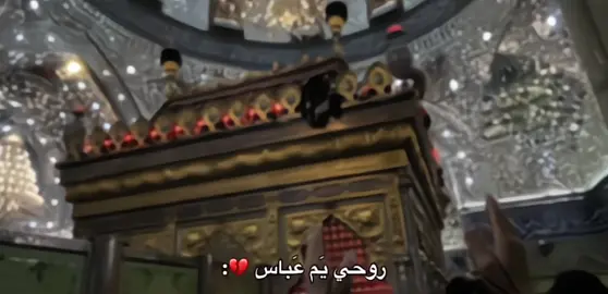هَالڤيد صَورتـه مِن خَلصت واجبي بـ شباك أبالـفَضل ورجعت حَتى أزور 😞❤️‍🩹❤️‍🩹،#اللهم_صل_على_محمد_وآل_محمد #السلام_عليك_يا_ابا_الفضل_العباس_ع #ياابالفضل_العباس #باسم_الكربلائي #العتبه_العباسيه_المقدسه   