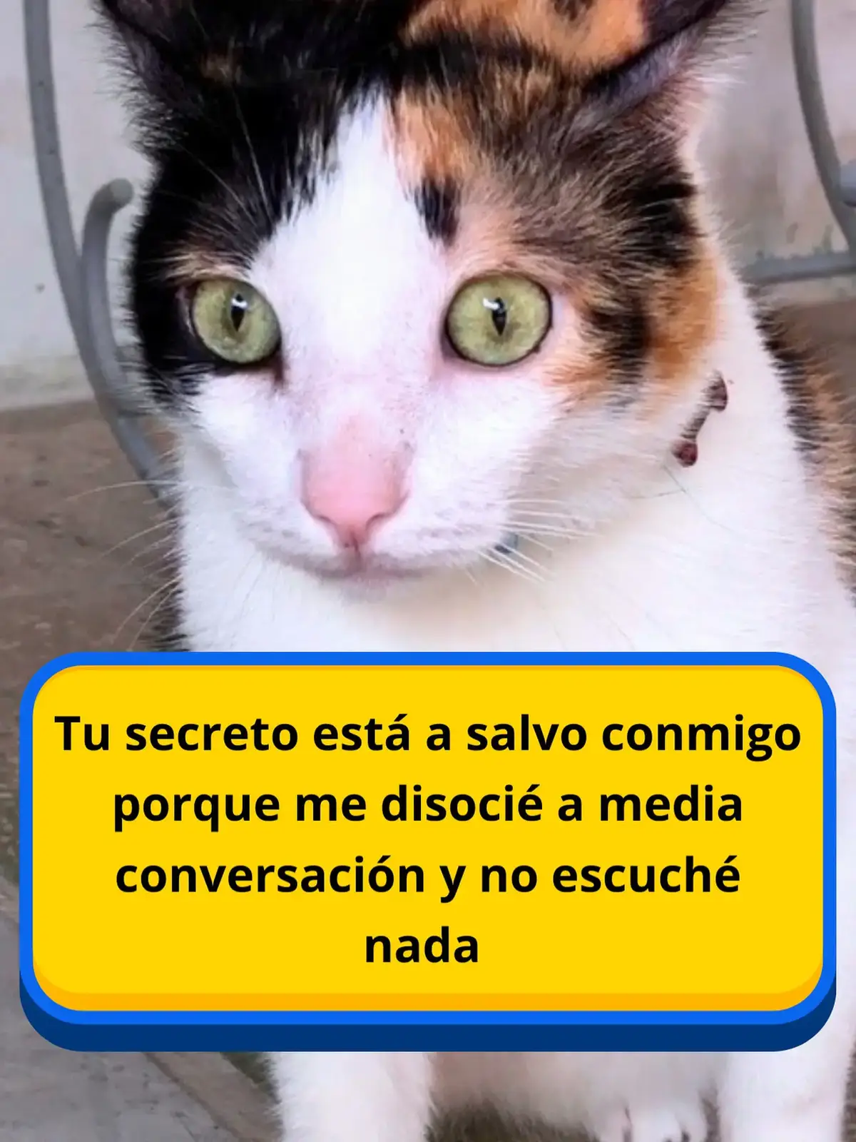 #disociacion #humor #funny #viraltiktok #humortiktok 