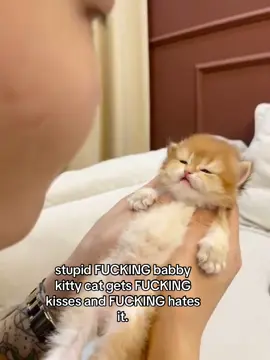its because kitty said miaw #spirituality #cat 