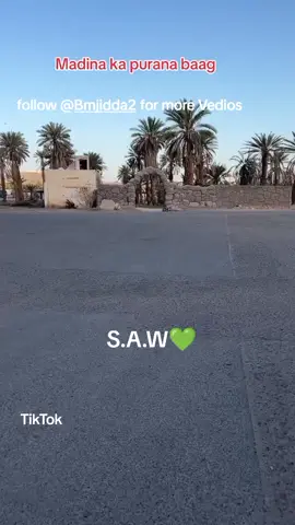 💚🥰SALLALLAHU ALAIHI WASALLAM 💚🥰  #goviral #nigeriatiktok🇳🇬🇳🇬🇳🇬 #viraltiktok 