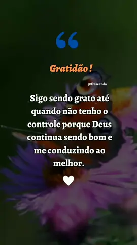 #motivacao #reflexao #motivacional #frases #videomotivacional 