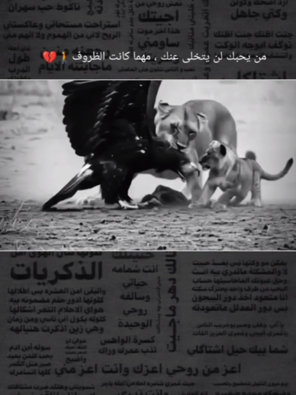 #عباراتكم_الفخمه📿📌  #تصميم_الركاوي 