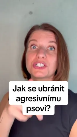 ⚫ Nedávno se na mě vyřítil cizí pes. A já netušila, co dělat... Proti lidem se bránit umím. Ale tahle štěkající koule mě totálně vykolejila. ⚫ Takže jsme se poradili s lidmi z praxe a posvítili si na to, co říkají studie. Tady jsou praktické rady, co dělat. Doplnili byste něco? 🔄 Repostujte tohle video, ať tyhle tipy znají i ostatní!