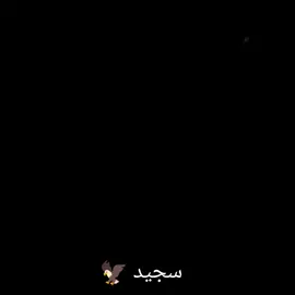 #CapCut #السماوا #مشاهير_تيك_توك #البشطيط_____حي_بني_حجيم_ابو_سعود #لايك_متابعه_اكسبلور @عـًِـلٓـوّآان ☪︎🇶🇦 