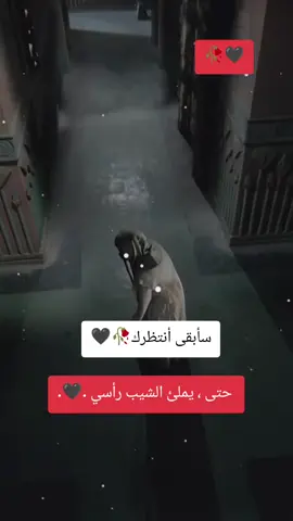 #تعبانة😭💔 #الله#يفك❤😭 #أسرك❤😭 ❤😭 