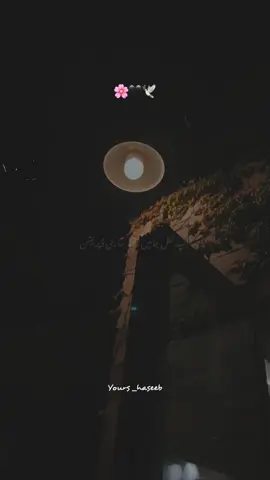 پریشانیوں سے نجات❤️‍🩹🥺#foryouu #viralvideos #islamic_video #growmyaccount #fyp 