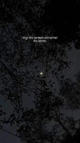 মানুষ বাঁচে অপেক্ষায়,আর অপেক্ষা বাঁচে আশায়।