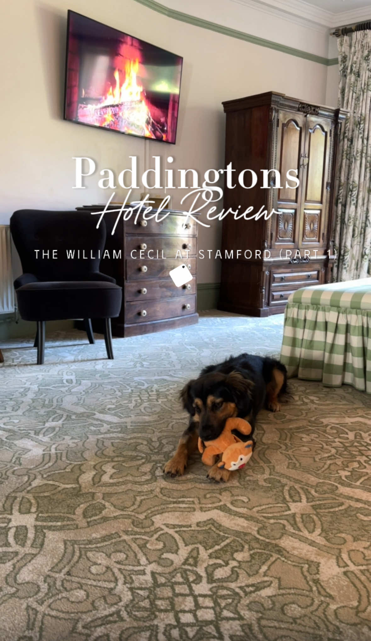 XL zoomies at the end!  What a massive contrast to living on the streets a few months ago… Paddington was super fortunate to be offered the opportunity to visit The William Cecil Hotel to experience their dog friendly hotel. It was beautiful and definitely the most quintessentially British hotel I’ve ever visited. Mr Sassington had a blast, he LOVEDDDDD the amount of space for the zoomies! Stay tuned for part 2.