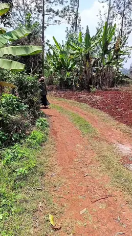#kikuyu #kikuyucomedy #kikuyuisbae 