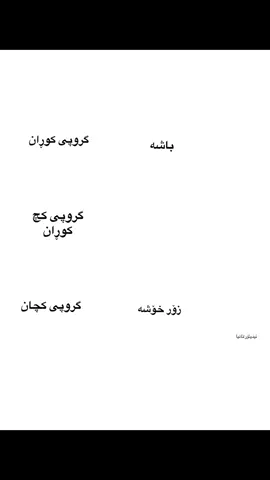 اکک لو کروبە خوسویستکامنان؟؟😏#گروپی_مەردەوات #foryou #fyp #fyppppppppppppppppppppppp #fypシ゚ 