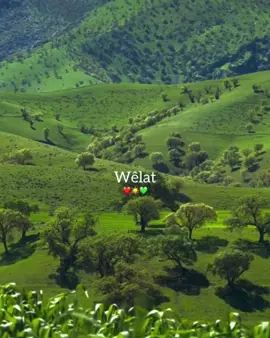 My beautiful Kurdistan😍☀️#forypupage #freekurdistan #kurdishboys❤️☀️💚 #kurdishgirl #foruoupage 