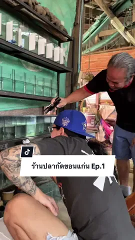 รีวิวร้านปลากัดขอนแก่น Ep1 รักเลย betta คุณลุงใจดีมากกก 🐬🤣#ปลากัดสวยงาม #ปลากัดป่าอีสานหน้างู #ปลากัดแฟนซี #bettafish #ปลากัดขอนแก่น
