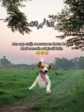 new choona no #8 🤣 #foryou #foryoupage 